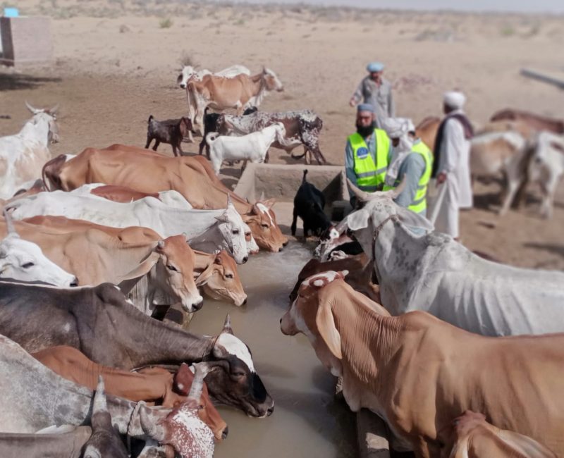 water supply project 2022 by ghais welfare in cholistan punjab pakistan (2)